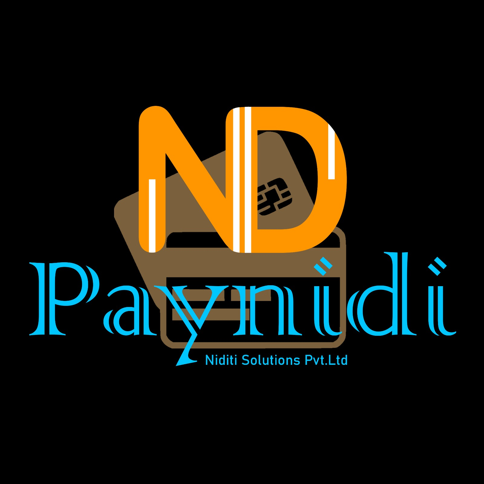 Paynidipro Logo